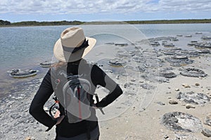 Woman looking at Stromatolites in Lake Thetis Cervantes Western Australia