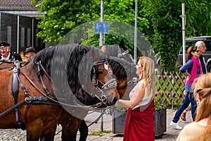 Woman looks at a team of horses during a procession in Garmisch-Partenkirchen, Garmisch-Partenkirchen, Germany - May 20.