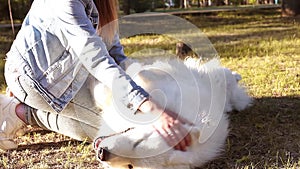 Woman loves her dog, love for pets, walk in the park