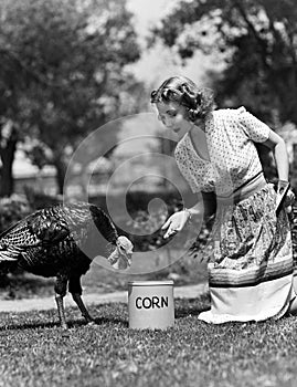 Woman luring turkey to hatchet with corn photo