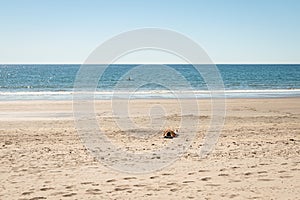 A woman lying on the sand of a beach reads a book, in the distance, in the sea, a person is kayaking.