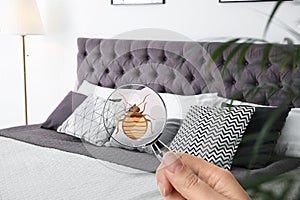 Woman with magnifying glass detecting bed bug