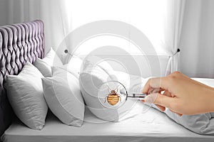 Woman with magnifying glass detecting bed bug