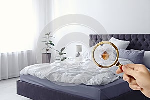 Woman with magnifying glass detecting bed bug