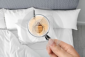Woman with magnifying glass detecting bed bug