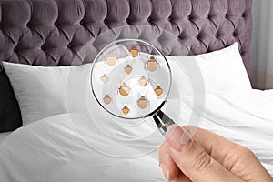Woman with magnifying glass detecting bed bugs