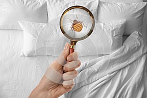 Woman with magnifying glass detecting bed bugs in bedroom