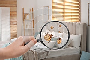 Woman with magnifying glass detecting bed bugs in bedroom