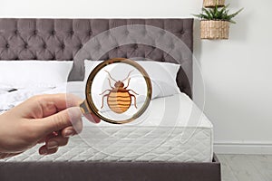 Woman with magnifying glass detecting bed bugs on mattress