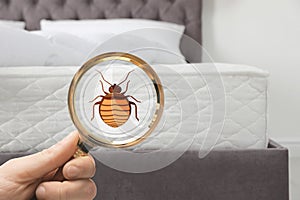 Woman with magnifying glass detecting bed bugs on mattress