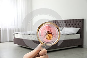 Woman with magnifying glass detecting bed bugs on mattress