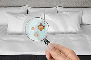 Woman with magnifying glass detecting bed bugs