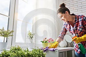 Woman makes cleaning