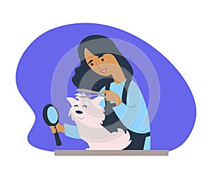 Woman making new haircut to canine domesticated animal