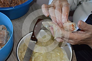 Woman making sour cabbage rolls