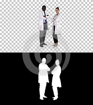 Woman and man doctors with crossed arms, Alpha Channel