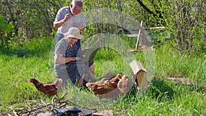 Woman and man farmer with chickens, dog and laptop in village, in nature.