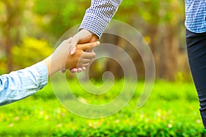 Woman and man are holding hands together, Happy love in the garden. romantic atmosphere in the parks. concept couple lover