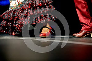 Woman and man legs dance flamenco skirt and shoes for print