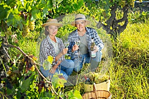 Woman and man winemakers trying white wine during harvesting