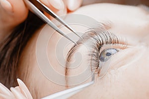 Woman master making fake long lash Eyelash extension procedure