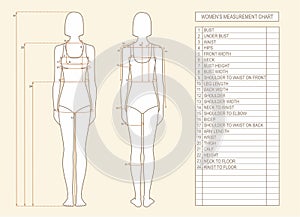 Woman measurements chart