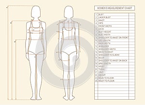 Woman measurements chart photo