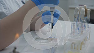 A woman in a medical laboratory checks the reaction of staph bacteria on different substances and antibiotics.