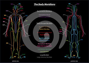 Woman Meridian System Description Chart Black