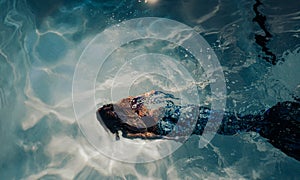 Woman with mermaid tail swims and dives underwater