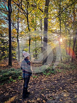 woman mid age walking in the forest during Autumn season in nature trekking with orange red color trees during fall