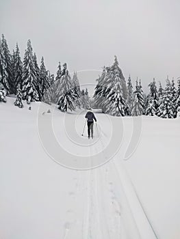A woman in the middle of a snowy landscape on cross-country skis.