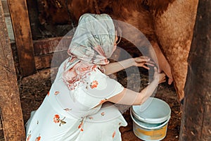 Woman milkmaid milking a cow, farm photo