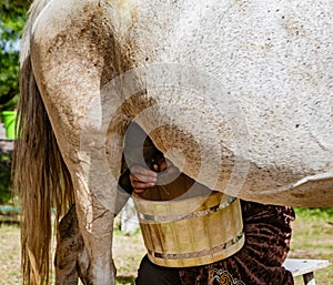 Woman milks a horse