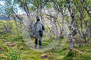 Woman in modern high-tech breathable and waterproof clothing hiking in horizontal terrain in Norwegian mountains, wild mountain