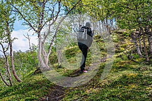 Woman in modern high-tech breathable and waterproof clothing hiking up in Swedish mountains, wild mountain birches. Healthy