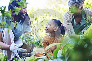 A woman, mother and child gardening together outdoor for growth or sustainability during spring. Plants, kids and earth
