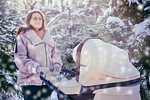 Woman mother with a stroller for a child in a winter park near snow covered Christmas trees. Mom with a baby in a pram among snowy