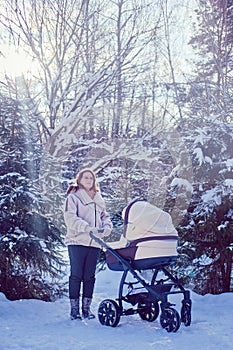 Woman mother with a stroller for a child in a winter park near snow covered Christmas trees. Mom with a baby in a pram among snowy