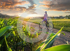 Woman on mountain bike on gravel road at sunset in summer