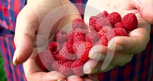 Woman move raspberries in the palms