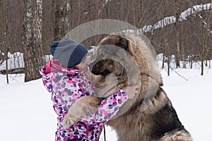 A woman in nature in winter with a big beautiful Caucasian Shepherd dog