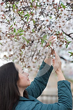 woman near almond tree