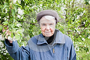 Woman near the blossoming apple tree