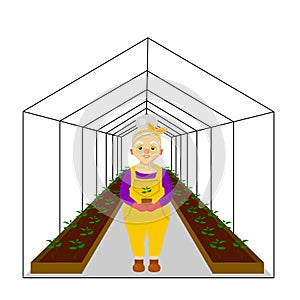 Woman near the greenhouse. Greenhouse for plants. Spring work in the garden and vegetable garden.Vector illustration