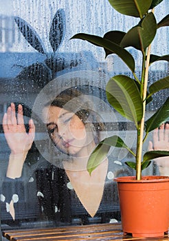 Woman near wet window after the rain misses the ficus plant