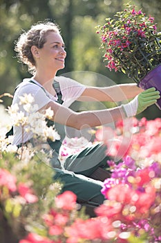 Woman in nursery admiring flowers she holding