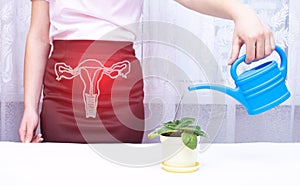 A woman in the office waters a flower from a watering can. Urinary and reproductive system diseases concept, urinary incontinence