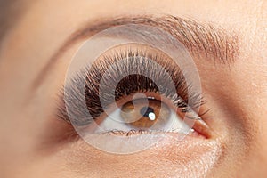 Woman Open Eye with Long Eyelashes. Eyelash Extension. Beautiful Lashes