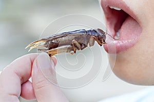 The woman opening her mouth to eat insects. The concept of protein food sources from insects.